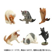 ANIMAL LIFE Yoga Cat 1個 [コレクショントイ]