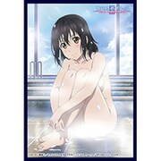 クロックワークス スリーブコレクションVol.15 ストライク・ザ・ブラッド 姫柊 雪菜 [トレーディングカード用品]