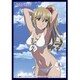 クロックワークス スリーブコレクションVol.15 ストライク・ザ・ブラッド 藍羽 浅葱 [トレーディングカード用品]