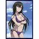 クロックワークス スリーブコレクションVol.15 ストライク・ザ・ブラッド 妃崎 霧葉 [トレーディングカード用品]
