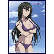 クロックワークス スリーブコレクションVol.15 ストライク・ザ・ブラッド 妃崎 霧葉 [トレーディングカード用品]