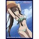 クロックワークス スリーブコレクションVol.15 ストライク・ザ・ブラッド 煌坂 紗矢華 [トレーディングカード用品]