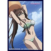 クロックワークス スリーブコレクションVol.15 ストライク・ザ・ブラッド 煌坂 紗矢華 [トレーディングカード用品]
