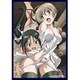 クロックワークス スリーブコレクションVol.16 ストライクウィッチーズ2 リーネ＆ルッキーニ [トレーディングカード用品]