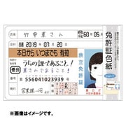 免許証色紙 AR0819134