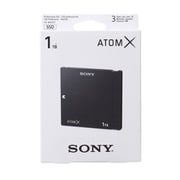AtomX SSDmini 1TB SV-MGS1T