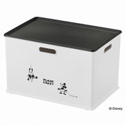 DSI-IBLPb [収納ボックス インボックス プレート付き ミッキーマウス Bタイプ]