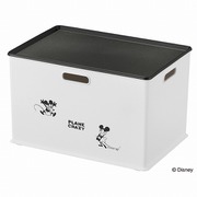 DSI-IBLPc [収納ボックス インボックス プレート付き ミッキーマウス Cタイプ]