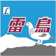 NCH013M [Nゲージ 新彫金マグネット 雷鳥]