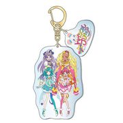 スター☆トゥインクルプリキュア ダイカットキーホルダー 集合 [キャラクターグッズ]
