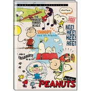 マンスリー手帳 2019年2月始まり B6サイズ PEANUTS/スヌーピー COMIC KAPOW スヌーピー&フレンズ P-13455