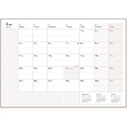 手帳 VERT-D 2019年3月始まり A5サイズ 専用リフィル COT-46531