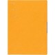 手帳 LEFT-D 2019年3月始まり A5サイズ BLIZE ORANGE COT-46586