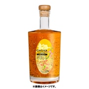 CHOYA Gold Edition（チョーヤ ゴールドエディション） 500ml [梅酒]
