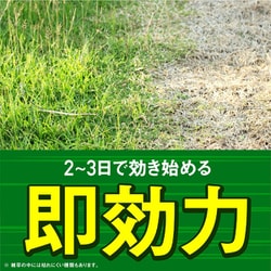 ヨドバシ.com - アースガーデン アースカマイラズ 草消滅 4.5L [家庭用 除草剤] 通販【全品無料配達】