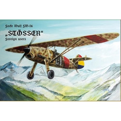 AHKPPC 48004 フォッケウルフ Fw56 シュテッサー ｢海外仕様｣ [1/48スケール プラモデル]