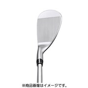 TW-W ウェッジ Dynamic Gold（スチール）（S200） ロフト角48°バウンス角9° 2019年モデル [ゴルフ ウェッジ]