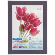 フォトフレーム New Uclidマット EX A4 フォトグレー