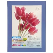 フォトフレーム New Uclidマット EX A4 ビスケイブルー