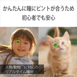 ヨドバシ.com - ソニー SONY ILCE-6400Y S [α6400 ダブルズーム ヨドバシ.com - ソニー SONY ILCE-6400Y S [α6400 ダブルズーム