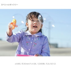ヨドバシ.com - ソニー SONY ILCE-6400Y B [α6400 ダブルズームレンズ