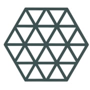 鍋敷き トリベット HEXAGON カクタス