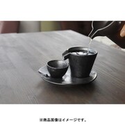 鉄黒流 冷酒器セット M00005