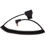 Rotolight(ロトライト) DTAP TO 2.1MM DC POWER CABLE