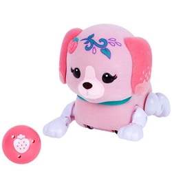 ヨドバシ.com - RANGS JAPAN ラングス ジャパン キューティ