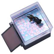 ひかりとみずのカラクリ金魚 黒出目金