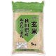 玄米 秋田県産 あきたこまち 5kg 令和6年産