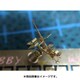 EPH PA35007 米海軍 エリコン20mm 機関砲 単装 20個入り [1/350スケール ディティールアップパーツ]