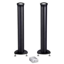 シロクマ タイムドメインライセンスモデルスピーカー SmartTower（スピーカー2本＋アンプセット） 鉄瓶風ブラック TD-103