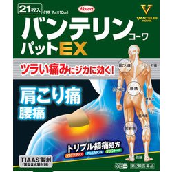 バンテリンコーワパットEX 21枚 [第2類医薬品 プラスター・テープ剤 ※セルフメディケーション税制対象商品]