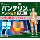バンテリンコーワパットEX 大判サイズ 7枚 [第2類医薬品 プラスター・テープ剤 ※セルフメディケーション税制対象商品]