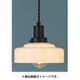 浅盛ガラスセードシリーズ LEDランプ付 調光対応 GLF-3516BK