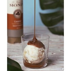 ヨドバシ.com - MONIN モナン MONIN(モナン) キャラメルソース 500ml