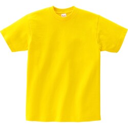 00085 CVT デイジー/M [へヴィーウエイトTシャツ]
