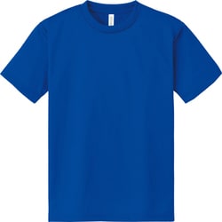 00300 ACT ロイヤルブルー/S [半袖Tシャツ]