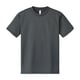 00300 ACT ダークグレー/3L [半袖Tシャツ]