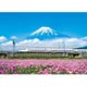 05-1016 れんげの花と富士山(静岡) [ジグソーパズル 500ピース（完成サイズ：38×53cm）]