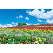 10-1344 富良野を彩る花の丘(北海道) [ジグソーパズル 1000ピース（完成サイズ：50×75cm）]