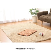 PMJ600 レッド ブランケット Sサイズ