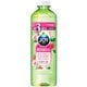 ジョイ ボタニカル マイルドローズ＆ワイルドベリー 詰替 440mL [食器用洗剤]