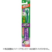 ヨドバシ.com - 小林製薬 生葉 通販【全品無料配達】