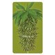 スマートバッテリー 4000mAh FLORAL GrowRipe SC-FR02