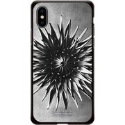 GCN-VB05-C-BK [GLASS PRINT iPhone XS/X VINTAGE BOTANICAL Calyx BK]