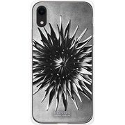 GCN-VB05-D-TL [GLASS PRINT iPhone XR VINTAGE BOTANICAL Calyx TL]