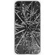 GCN-VB11-A-TL [GLASS PRINT iPhone 8/7 VINTAGE BOTANICAL Araliacordata TL]