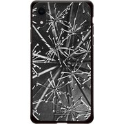 GCN-VB11-D-BK [GLASS PRINT iPhone XR VINTAGE BOTANICAL Araliacordata BK]